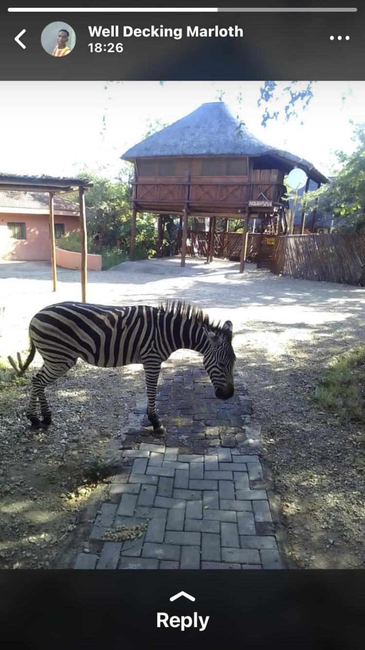 John And Noleen'S Place Marloth Park Exterior photo